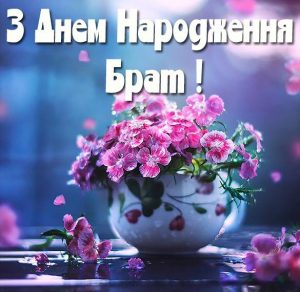 Скачать бесплатно Открытка с днем рождения брату на украинском на сайте WishesCards.ru