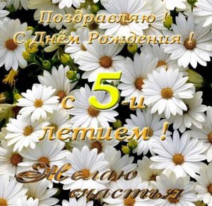 Скачать бесплатно Открытка с днем рождения девочке с 5 летием на сайте WishesCards.ru
