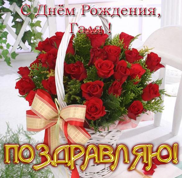 Скачать бесплатно Открытка с днем рождения для Гали на сайте WishesCards.ru