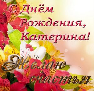 Скачать бесплатно Открытка с днем рождения для Катерины на сайте WishesCards.ru