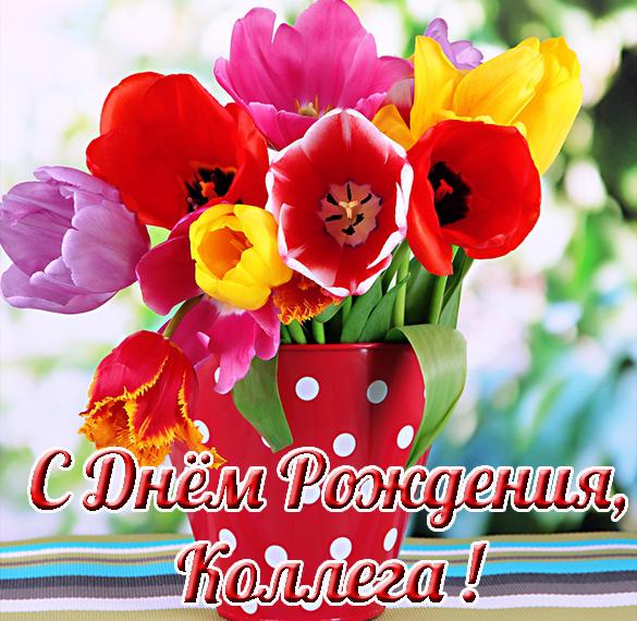Скачать бесплатно Открытка с днем рождения для коллеги женщины на сайте WishesCards.ru