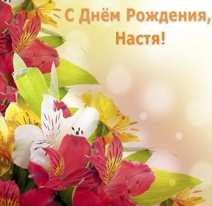 Скачать бесплатно Открытка с днем рождения для Насти на сайте WishesCards.ru