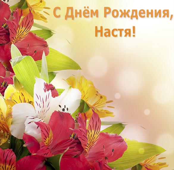 Скачать бесплатно Открытка с днем рождения для Насти на сайте WishesCards.ru