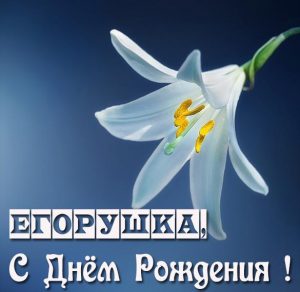 Скачать бесплатно Открытка с днем рождения Егорушка на сайте WishesCards.ru