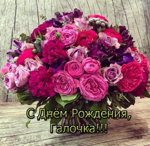 Скачать бесплатно Открытка с днем рождения Галочка на сайте WishesCards.ru