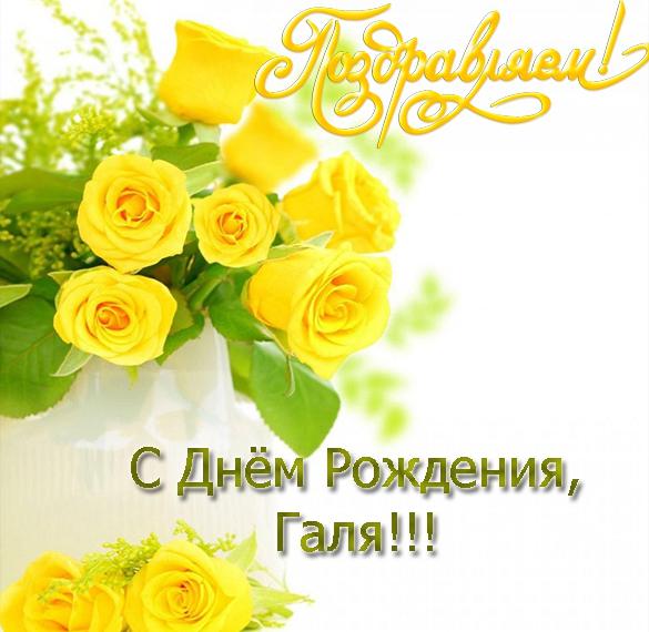 Скачать бесплатно Открытка с днем рождения Галя на сайте WishesCards.ru