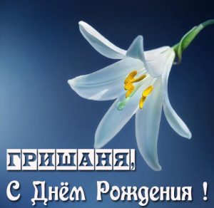 Скачать бесплатно Открытка с днем рождения Гришаня на сайте WishesCards.ru