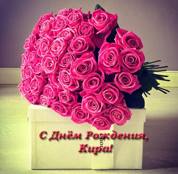 Скачать бесплатно Открытка с днем рождения Кира на сайте WishesCards.ru