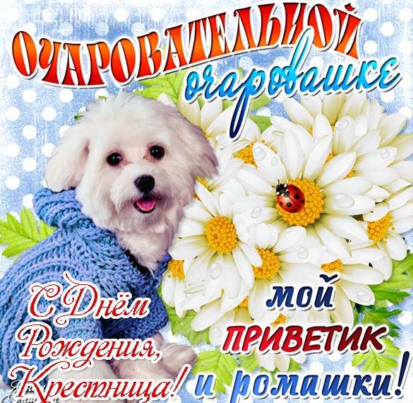 Скачать бесплатно Открытка с днем рождения крестной дочери на сайте WishesCards.ru