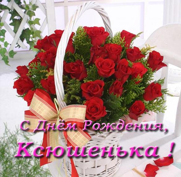 Скачать бесплатно Открытка с днем рождения Ксюшенька на сайте WishesCards.ru