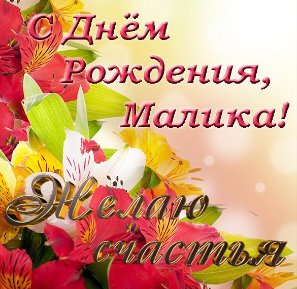 Скачать бесплатно Открытка с днем рождения Малика на сайте WishesCards.ru
