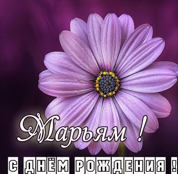Скачать бесплатно Открытка с днем рождения Марьям на сайте WishesCards.ru