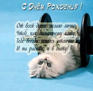 Скачать бесплатно Открытка с днем рождения мужчине с котами на сайте WishesCards.ru