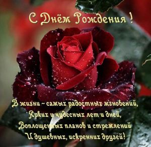 Скачать бесплатно Открытка с днем рождения мужчине с розами на сайте WishesCards.ru