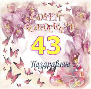 Скачать бесплатно Открытка с днем рождения на 43 года на сайте WishesCards.ru