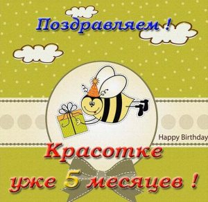 Скачать бесплатно Открытка с днем рождения на 5 месяцев девочке на сайте WishesCards.ru