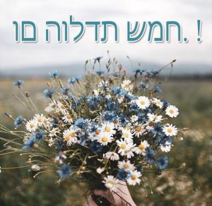 Скачать бесплатно Открытка с днем рождения на иврите на сайте WishesCards.ru