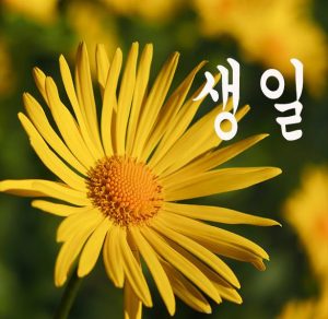 Скачать бесплатно Открытка с днем рождения на корейском на сайте WishesCards.ru