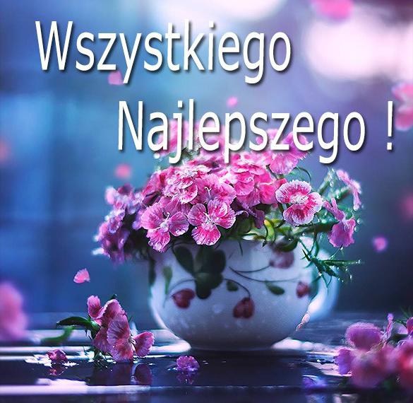 Скачать бесплатно Открытка с днем рождения на польском на сайте WishesCards.ru