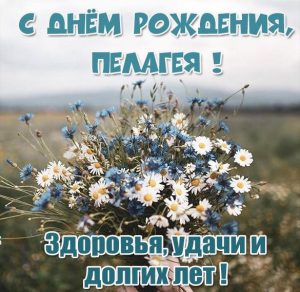 Скачать бесплатно Открытка с днем рождения Пелагея на сайте WishesCards.ru