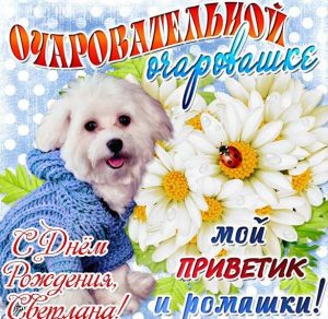 Скачать бесплатно Открытка с днем рождения подруге Светлане на сайте WishesCards.ru