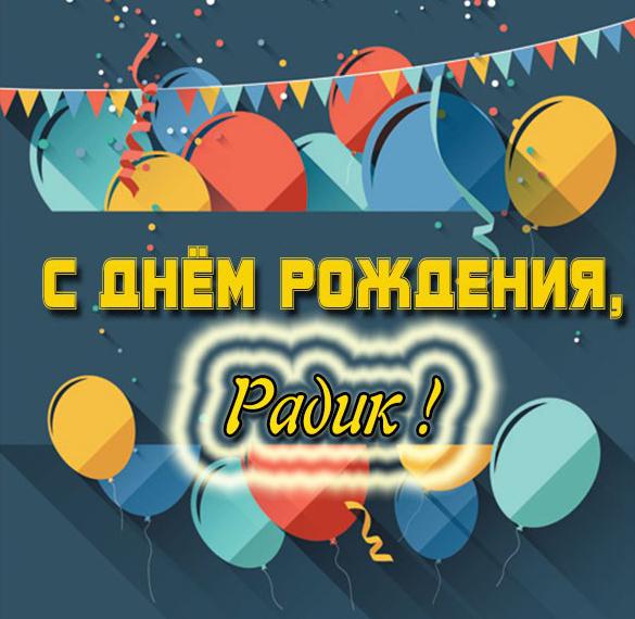 Скачать бесплатно Открытка с днем рождения Радик на сайте WishesCards.ru