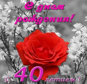 Скачать бесплатно Открытка с днем рождения с 40 летием на сайте WishesCards.ru