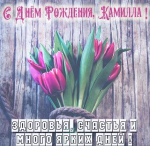 Скачать бесплатно Открытка с днем рождения с именем Камилла на сайте WishesCards.ru