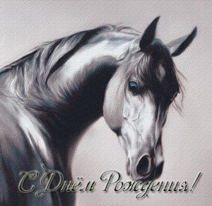 Скачать бесплатно Открытка с днем рождения с конем на сайте WishesCards.ru