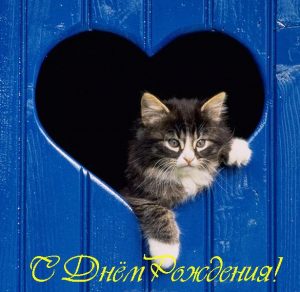 Скачать бесплатно Открытка с днем рождения с котиками на сайте WishesCards.ru