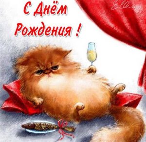 Скачать бесплатно Открытка с днем рождения с котиками женщине на сайте WishesCards.ru