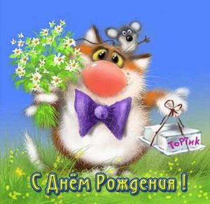 Скачать бесплатно Открытка с днем рождения с котом женщине на сайте WishesCards.ru