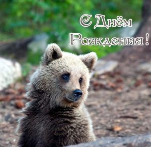Скачать бесплатно Открытка с днем рождения с красивым медвежонком на сайте WishesCards.ru