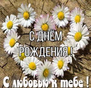 Скачать бесплатно Открытка с днем рождения с красивыми цветами ромашками на сайте WishesCards.ru