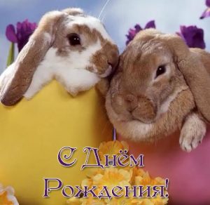 Скачать бесплатно Открытка с днем рождения с кроликом на сайте WishesCards.ru