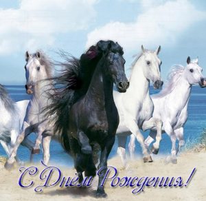 Скачать бесплатно Открытка с днем рождения с лошадьми на сайте WishesCards.ru