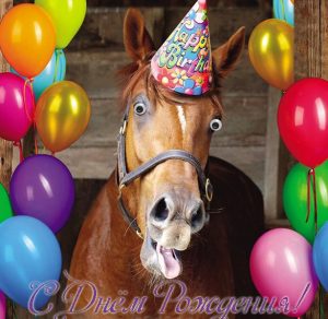 Скачать бесплатно Открытка с днем рождения с лошадью на сайте WishesCards.ru