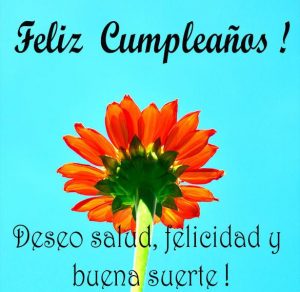 Скачать бесплатно Открытка с днем рождения с пожеланием по испански на сайте WishesCards.ru