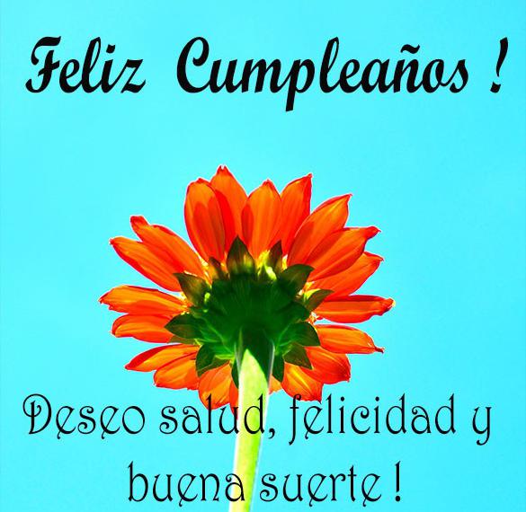 Скачать бесплатно Открытка с днем рождения с пожеланием по испански на сайте WishesCards.ru