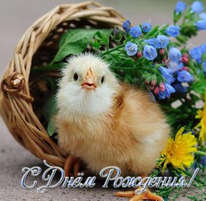 Скачать бесплатно Открытка с днем рождения с животным на сайте WishesCards.ru