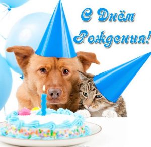 Скачать бесплатно Открытка с днем рождения с животными на сайте WishesCards.ru