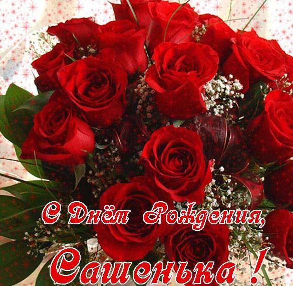 Скачать бесплатно Открытка с днем рождения Сашеньке женщине на сайте WishesCards.ru