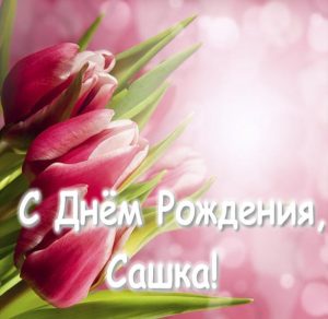 Скачать бесплатно Открытка с днем рождения Сашка на сайте WishesCards.ru