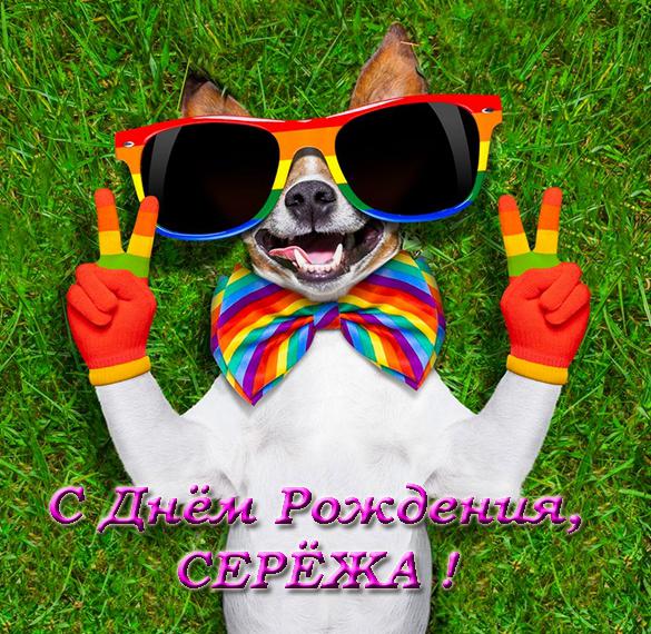 Скачать бесплатно Открытка с днем рождения Сережка на сайте WishesCards.ru