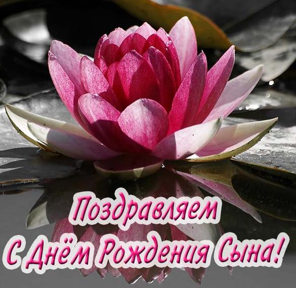 Скачать бесплатно Открытка с днем рождения сына женщине на сайте WishesCards.ru