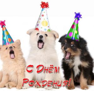 Скачать бесплатно Открытка с днем рождения со щенками на сайте WishesCards.ru