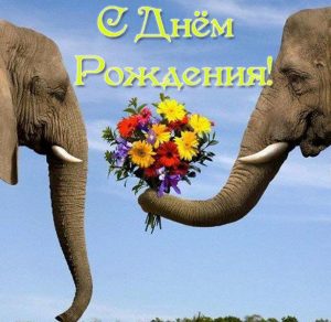Скачать бесплатно Открытка с днем рождения со слоном на сайте WishesCards.ru