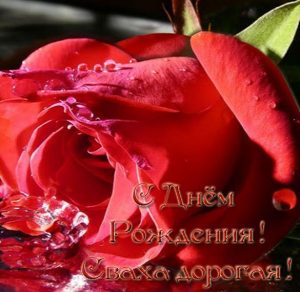 Скачать бесплатно Открытка с днем рождения свахе от свахи на сайте WishesCards.ru