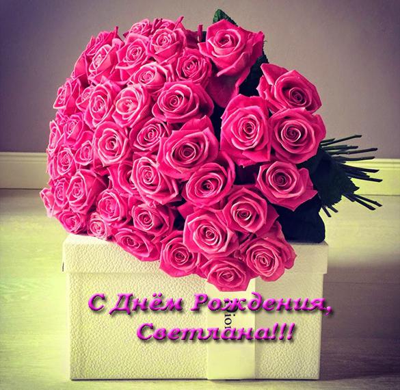 Скачать бесплатно Открытка с днем рождения Светлане на сайте WishesCards.ru