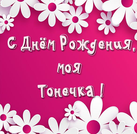 Скачать бесплатно Открытка с днем рождения Тонечка моя на сайте WishesCards.ru